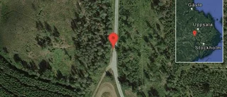 Fallna träd skapar problem i trafiken på väg 541