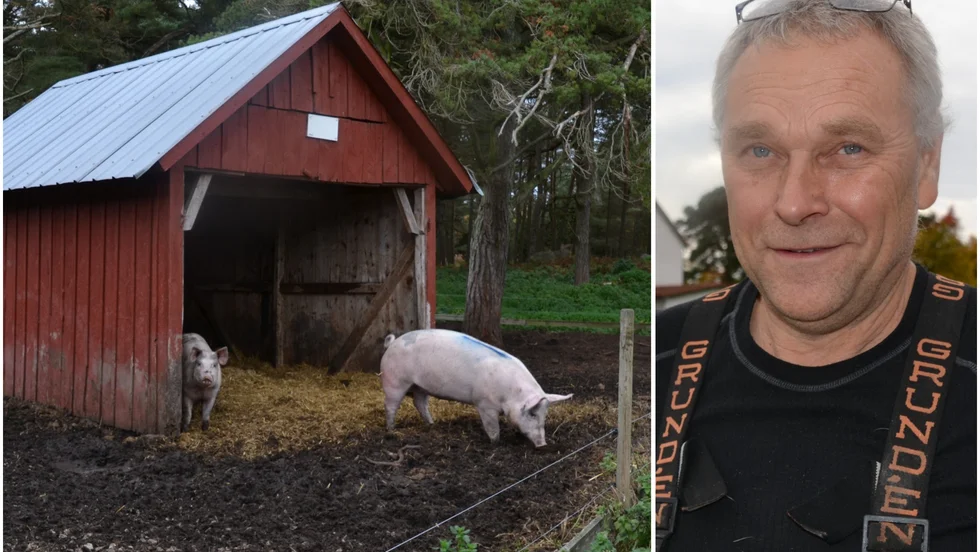 Det går bra för gårdsslakteriet som Johan Edberg och Kattis Edberg startade för två år sedan.