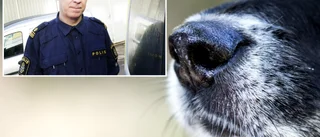 Rykten om "giftfällor" för hundar sprids på Facebook – inga anmälningar hos polisen