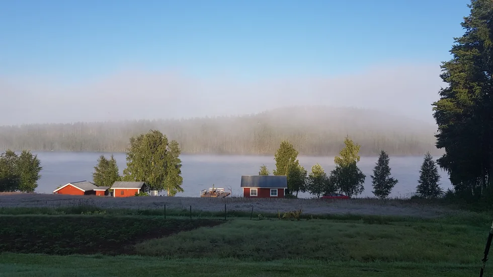 Dimmigt över Tansjärv.