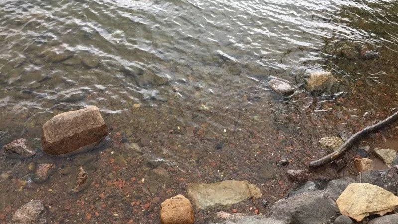 Hunden, utan huvud, hittades av barn vid Motala ströms strand.