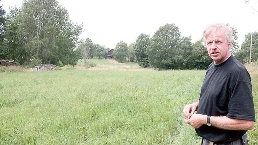 På markerna som Bernt Jonsson arrenderar finns det mängder av vildsvin. I förra veckan hittade han en död kulting på en havreåker.