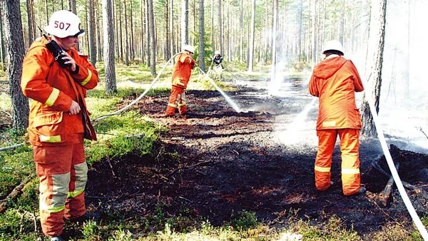 Ännu en skogsbrand utan rimlig förklaring. De senaste veckorna har det varit fem, sex bränder av den här typen. Det råder knappast någon tvekan om att någon sätter eld på skogen.