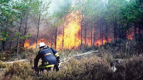 Det brann våldsamt i ungskogen när räddningstjänsten kom fram. Branden spred sig snabbt och innan man fått kontroll på läget hade 400 gånger 300 meter bränts av.