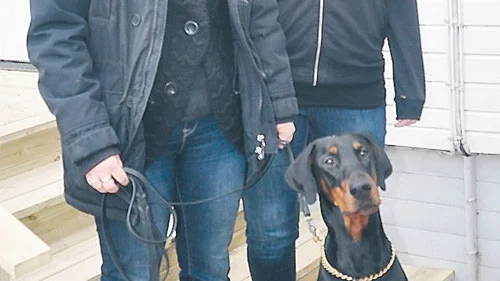 Thina Johansson och Caroline Olsson kommer att finnas på plats och se till att gästerna (hundarna) kommer att få det bra på dagis.
