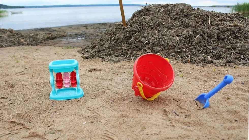 Bland annat badplatsen i Berg hade stora problem av vattenpest förra sommaren då badgäster skrämdes bort av den tjocka, geggiga massa vid strandkanten.