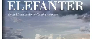 Ömsint hyllning till elefanten