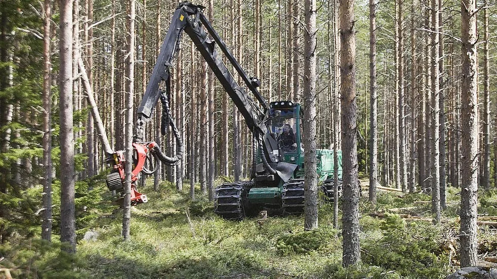 Skogsnäring. En viktig del av Sveriges ekonomi.