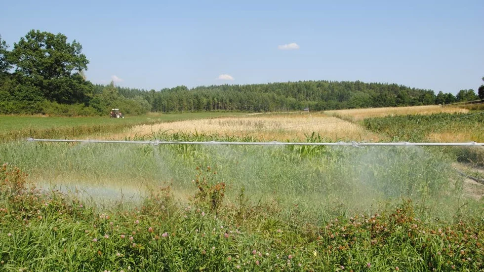 Övergött vatten från Dynestadviken används till bevattning.
