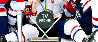 VIK:are aktuell för TV-pucken