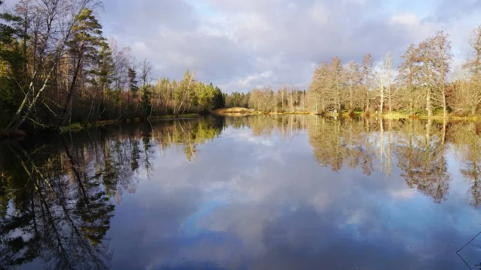 Dammen vid Hässeltull utanför Totebo hotas av torrläggning.