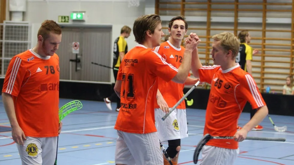 Borensberg IBC går som tåget i division 3.