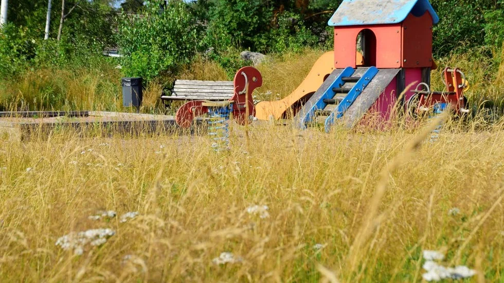 Kring lekplasten mellan Dvärgstigen och Sandstensgatan i Vimmerby har gräset växt sig högt.