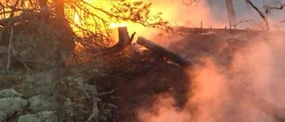 Hela familjen hjälpte till i skogsbranden