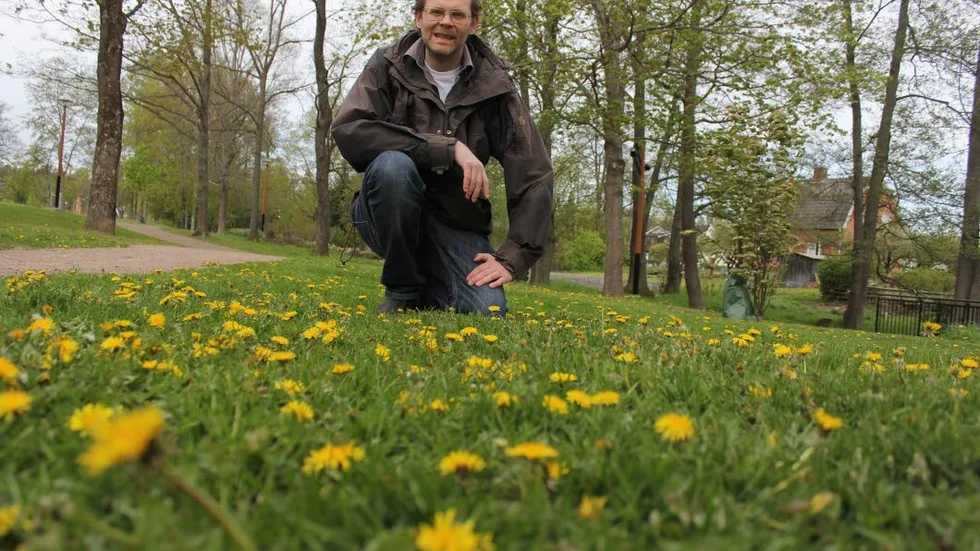 Calle Ljungberg tar med sig folket till Klintahål, för att se hur många olika arter man kan hitta där – och fira naturens högtidsdag. Inte många vet att bara av maskros finns det cirka 500 småarter i Sverige, många med mycket lokal utbredning.