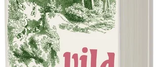 Poetisk och ödesmättad debut