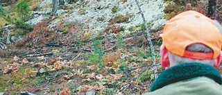 Jägare skjuter skarpt mot politiker