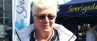 Skarp intern kritik mot SD