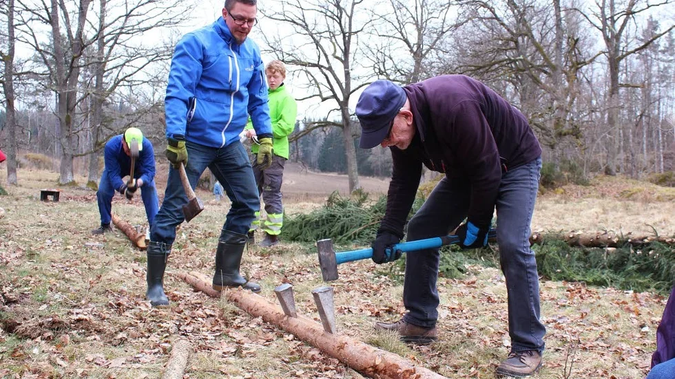 Matthias Pettersson och Lennart Karlsson hjälps åt att klyva en gran med hjälp av kilar.