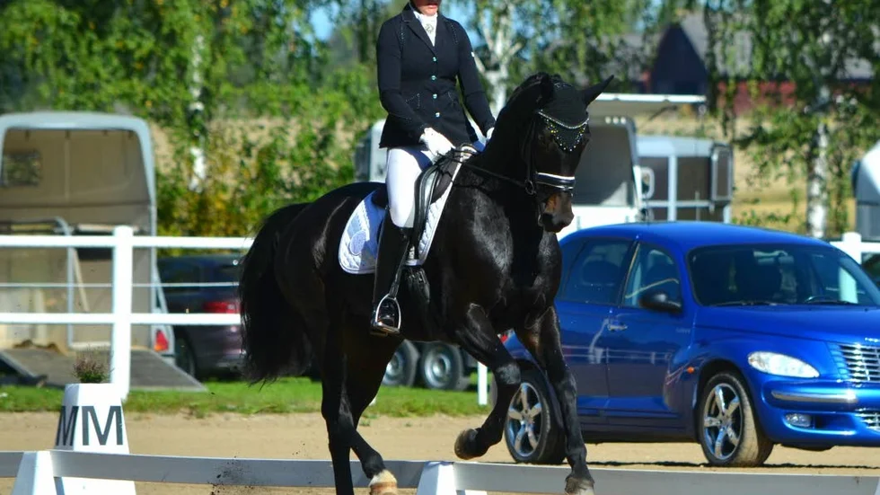 Målet. Att kvala in till Young Riders-SM nästa år kom Amanda Holmertz ett steg närmare i helgen.