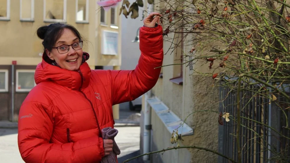 Trädgårdsrehabilitering. Cecilia Wiklund har över 20 års erfarenhet av trädgården som verktyg i rehabilitering av psykisk ohälsa.
