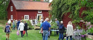 Växter och historia ska locka