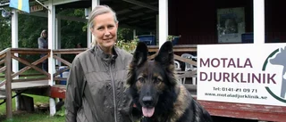 Firandet: Motalahundar klara för SM