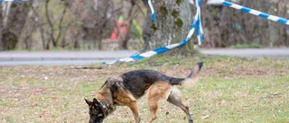 Polisen: Därför fick hunden bita misstänkt