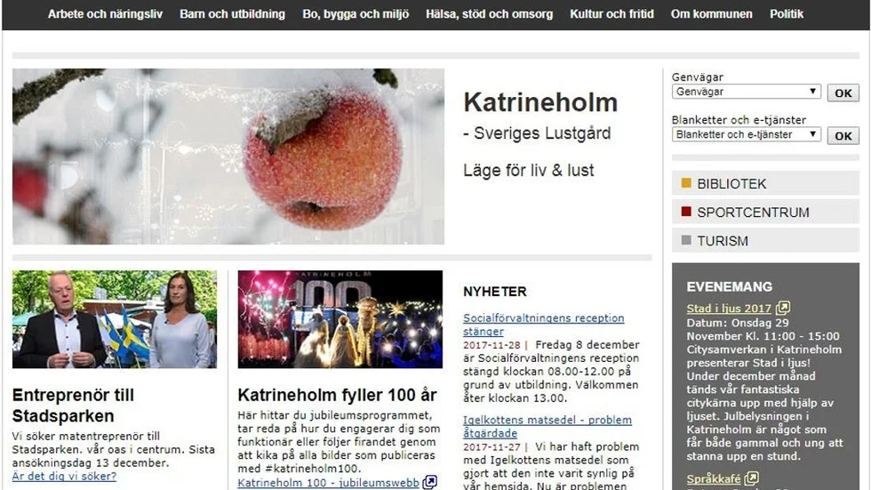 Kommunen har självgranskat sin hemsida.