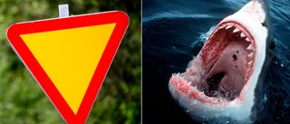 Bilister: Skylten vinner  över hajtänderna