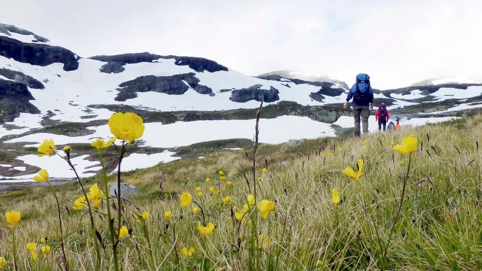 De drar till fjälls – kanske. Tanken är att finalen för integrationsprojektet ska kunna bli en fjällresa i slutet av nästa sommar.