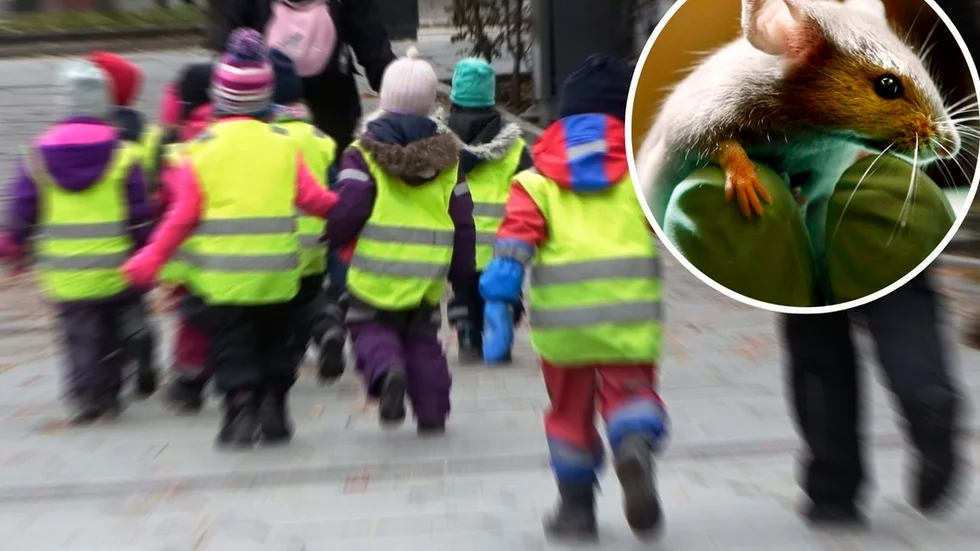 Extrakontroll från kommunen väntar förskolan – detta efter att musbajs påträffats inne i köket.