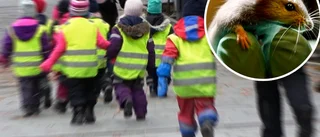 Oönskade gäster bajsade i förskolekök
