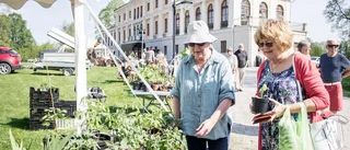 Blomsterfest lockade många entusiaster