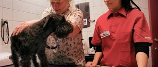 Djurdoktorn kan komma till Mariefred
