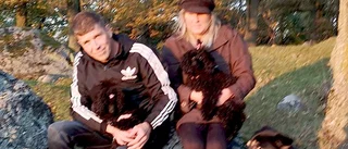 Robin Hoods djursjukhus vill utmana veterinärjättarna – kanske i Strängnäs: "Det här är vår idé"