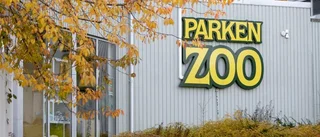 Hungriga tjuvar försökte bryta sig in i Parken Zoo