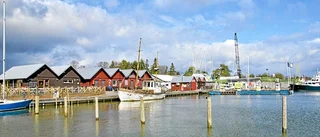 Trosa kommun anklagas för jäv i upphandling