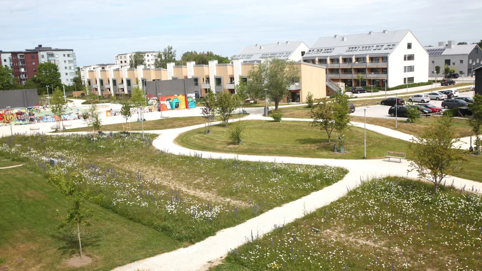 Honnörsparken i stadsdelen Artilleriet får i år regionens arkitekturpris. I den nyanlagda parken blandas just nu kortklippt gräsmatta med prunkande blomsteräng. Här finns också en modern lekplats och en äldre grafittivägg.