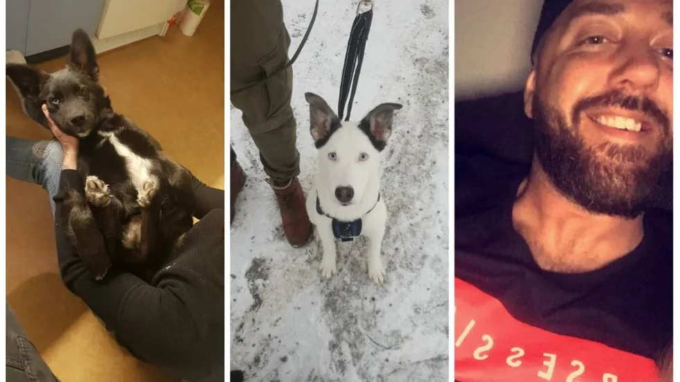 Peter Bergendahl har nyligen flyttat tillbaka till Mariefred med sin familj, inklusive hundarna Kairo och Bowie.