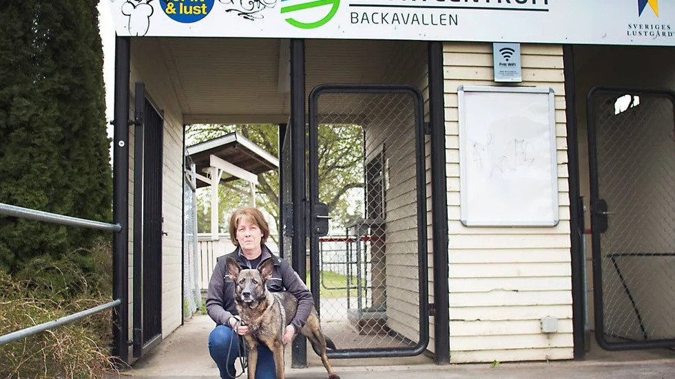 Yvonne Hull, Katrineholms brukshundklubben, har bråda dagar med planering av SM i hundsport den 23-25 augusti.