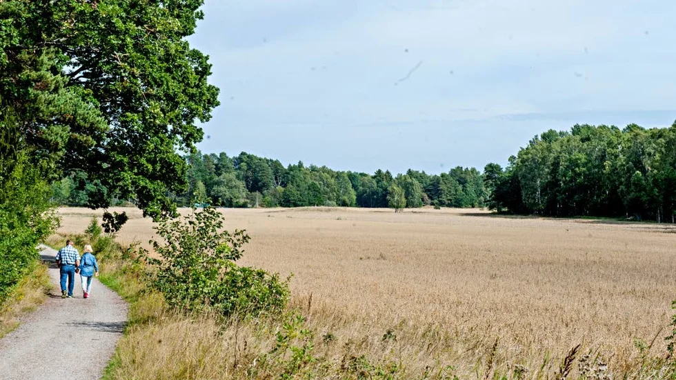 Insändarskribenten varnar för att naturområden i Oxelösund, som är en av Sveriges till ytan minsta kommuner, ska försvinna i ivern att växa.