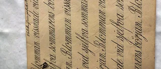 Bränder och slagsmål i 1880-talets Nyköping