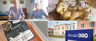 Nya larm om missförhållanden • Anställda och anhöriga om Attendo Terra Nova: ”Nu får det vara nog”