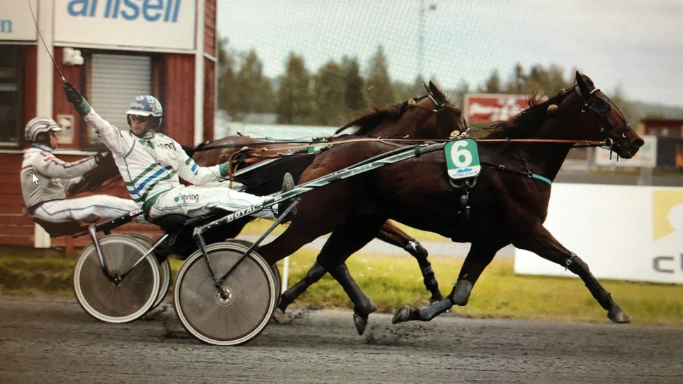 Segergest efter skrällvinst i v64-1.
Leif Eriksson vann med Zorro Swing 