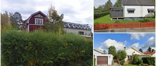 Lista: Här är de dyraste husen i Tierp i juli