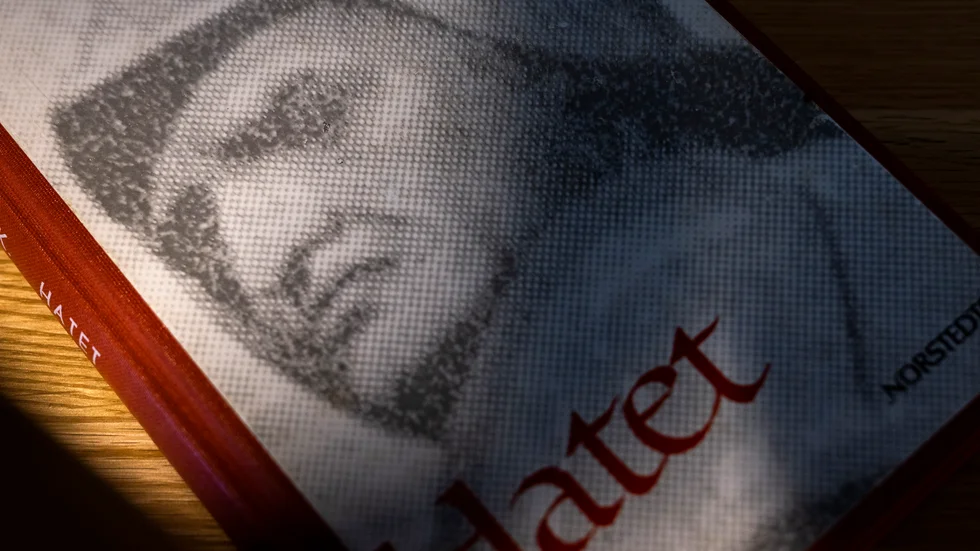 Harry Schein trodde att omslagsbilden till romanen "Hatet" föreställde Olof Palme, men den är hämtad från en staty i Venedig: Bartolomeo Colleoni till häst, gjord av Verrochio.
