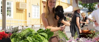 Lokalt och miljövänligt – torgkvällen bjöd på sörmländska hantverk: "Folk handlade som bara den"