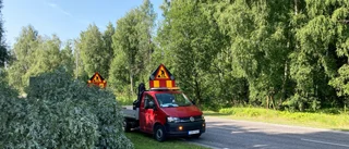 Nedfallet träd blockerade Arnöleden: "Stått och lutat i flera år"