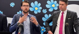 Insändare: Sverigedemokraterna svartmålar Sverige